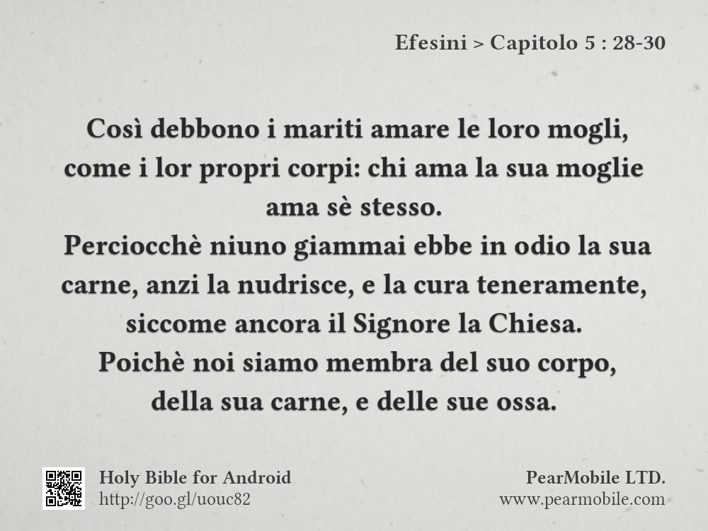 Efesini, Capitolo 5:28-30